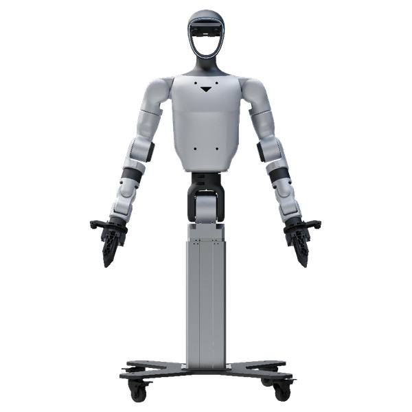 G1-D Standard — fixed-base humanoid configuration