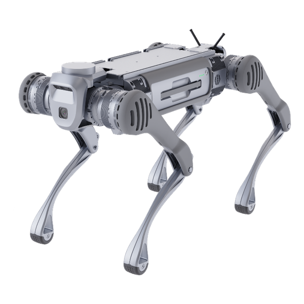 B2 Robot Dog Unitree quadruped India