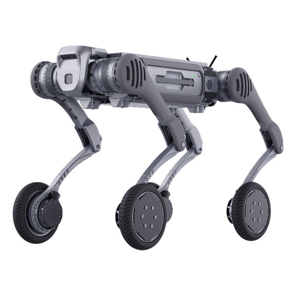 B2-W Basic Unitree quadruped India