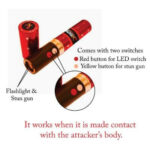 Lipstick Stun Gun