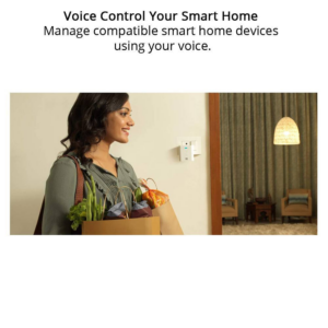 Echo Flex– Plug-in Echo for smart home control img3