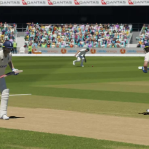 Cricket 24