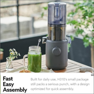 Hurom H310A Self-Feeding Cold Press Whole Slow Juicer All-in-1