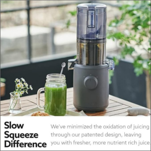 Hurom H310A Self-Feeding Cold Press Whole Slow Juicer All-in-1