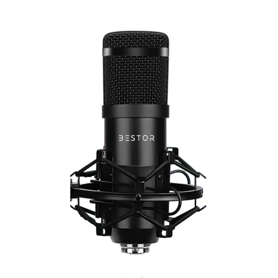 BESTOR Professional Condenser Microphone Kit