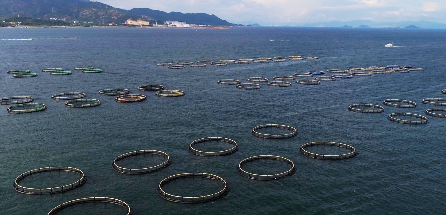 Aquaculture & Fisheries
