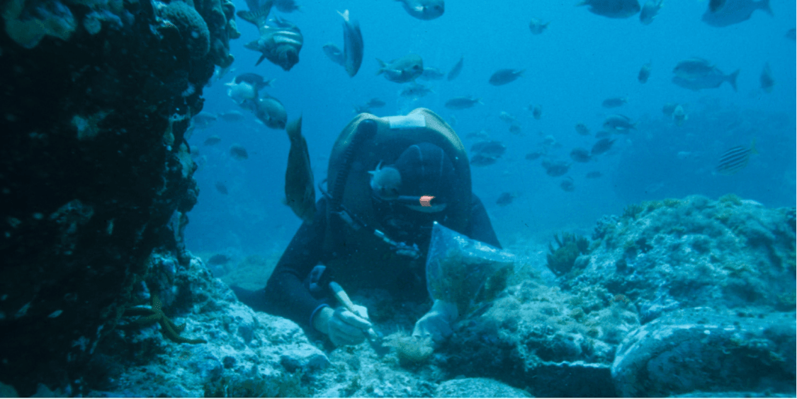 QYSEA FIFISH V6