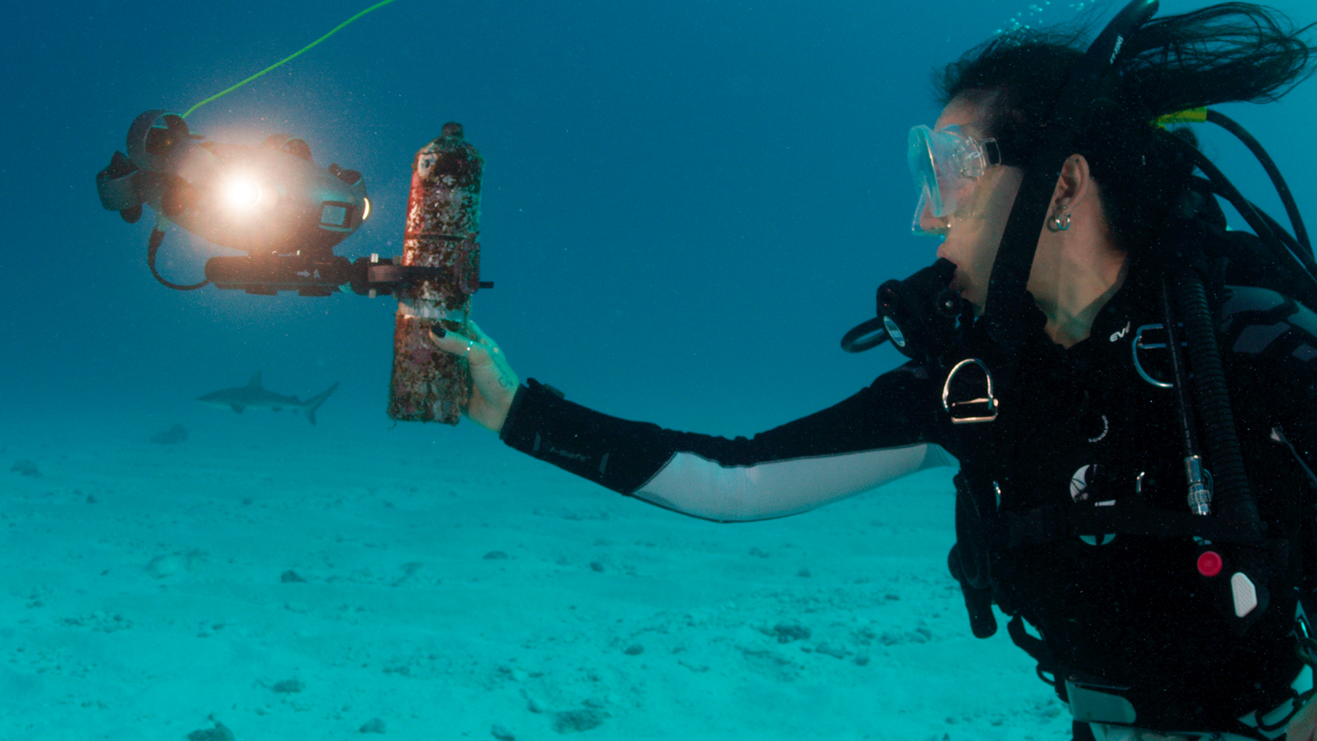 Professional Diver Missions