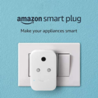 Amazon Smart Plug (works with Alexa)
