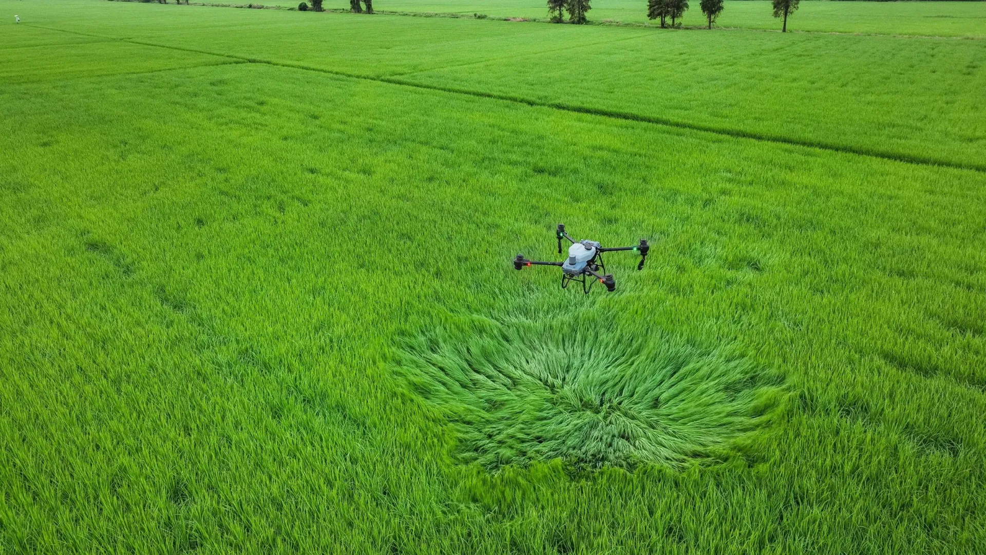DJI Agras T50 Agriculture Drone