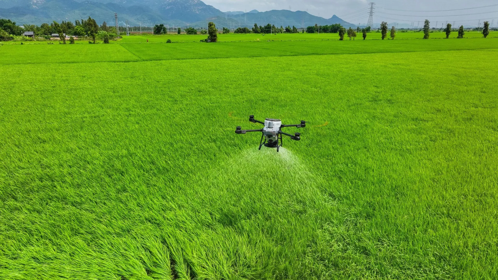 DJI Agras T25