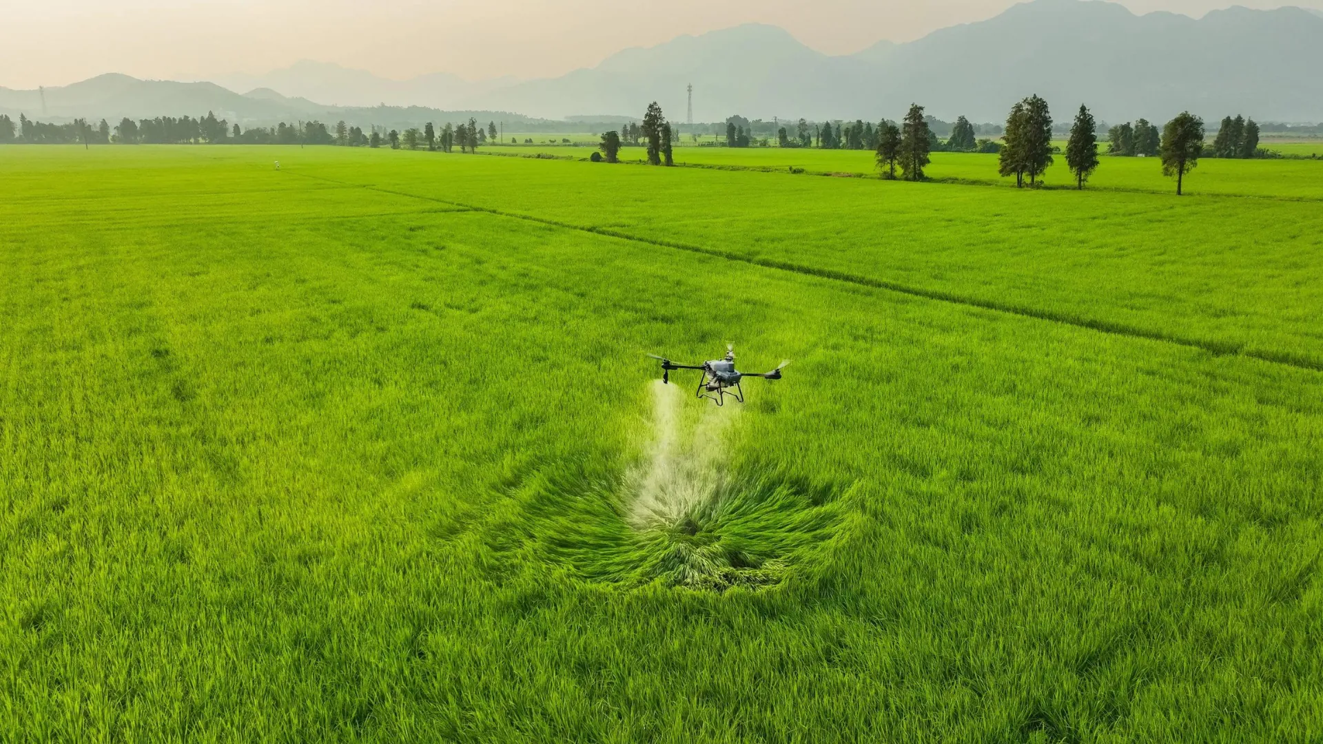 DJI Agras T25