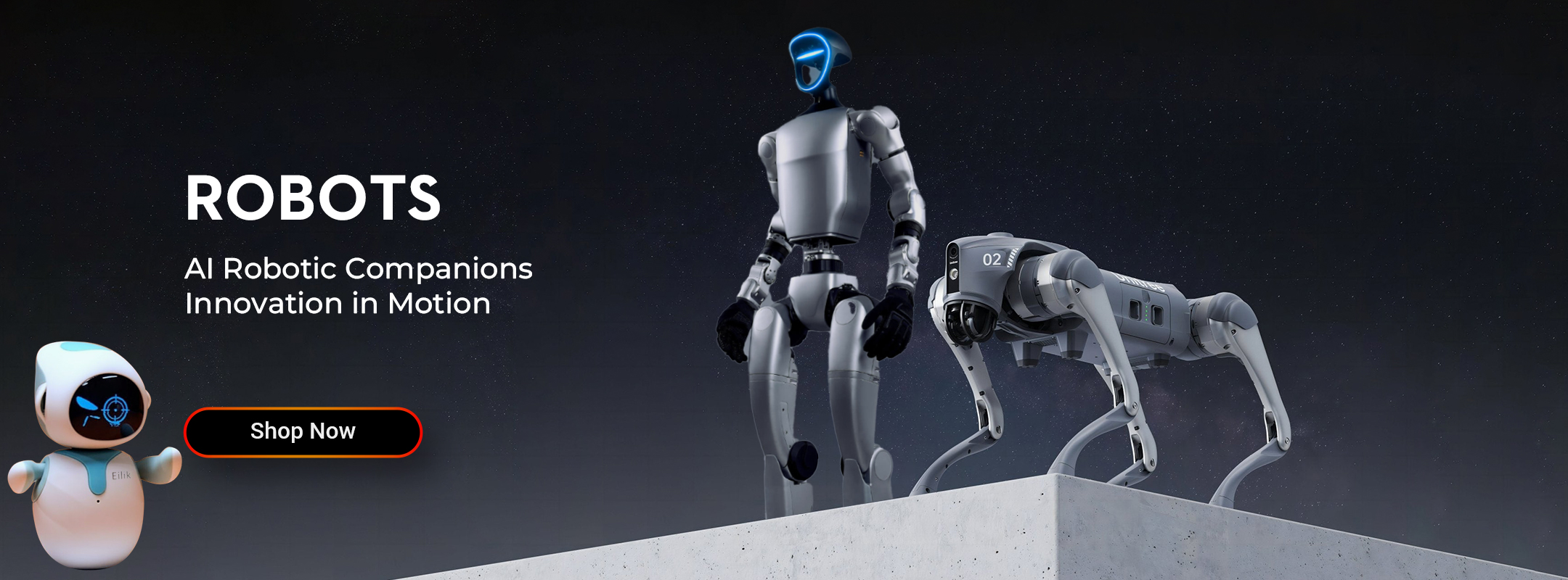 AI Robots, Humanoid Robots, Companion Robots, Petbots