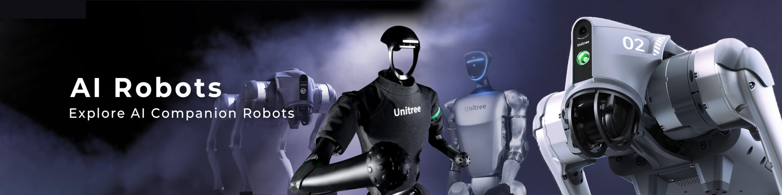 Robot