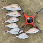 SwellPro Fisherman FD1 Waterproof Fishing Drone