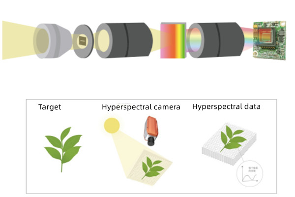 FS1X Series Hyperspectral camera (line scanning) images
