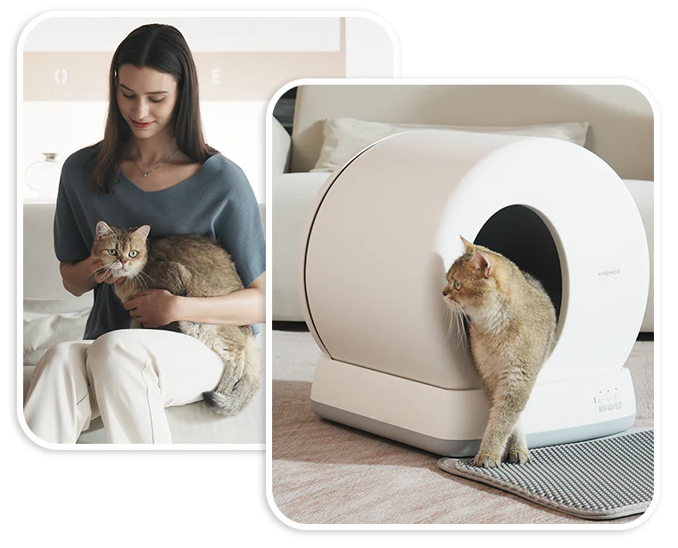 UCAT C10 PRO Cat Litter Box
