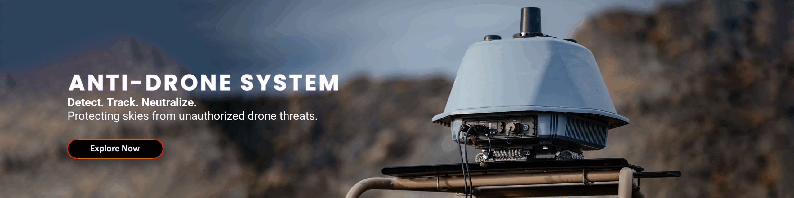 Anti-Drone System