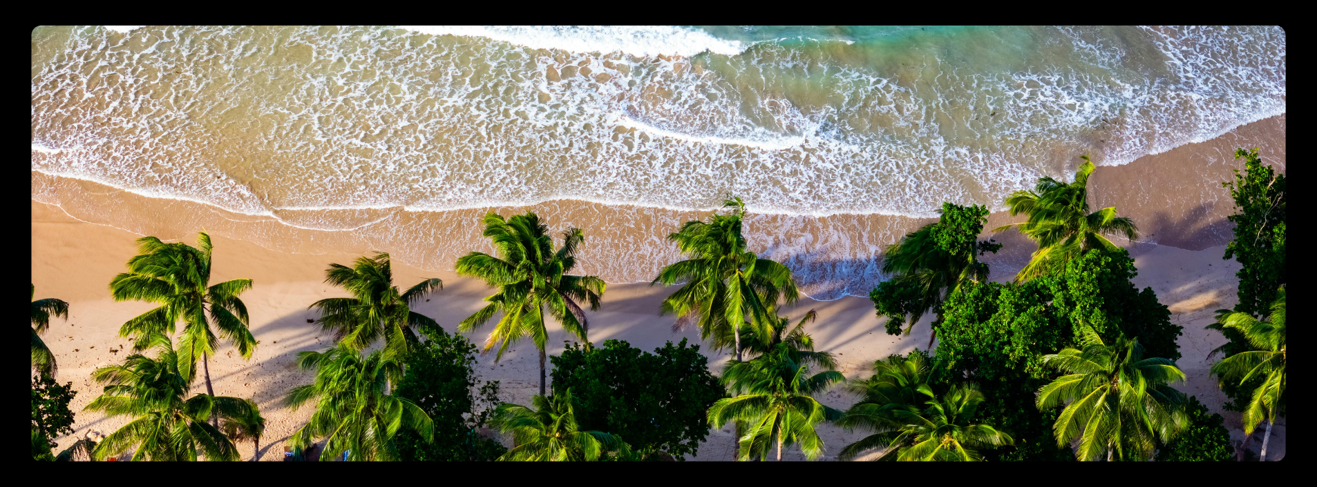 DJI Neo flymore combo