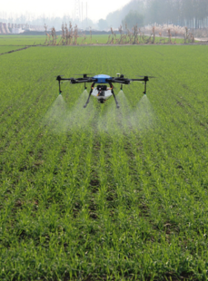 Agriculture Services