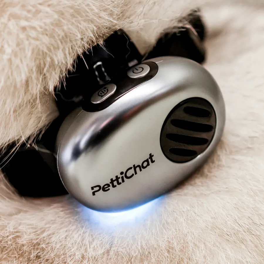 PettiChat AI Pet Translator