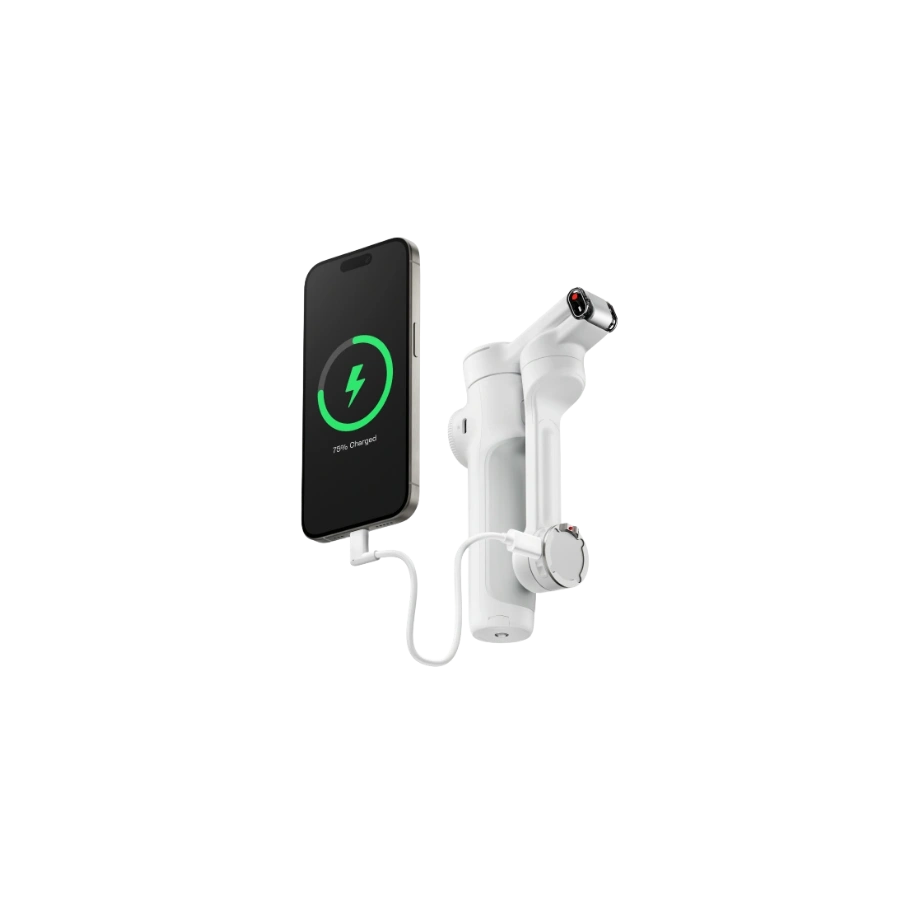 Insta360 Flow 2 Pro AI Tracker Bundle