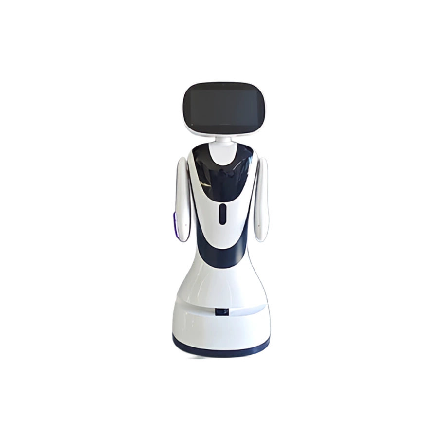 Mini AI Reception Robot