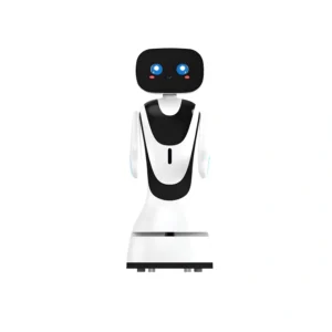 Mini AI Reception Robot