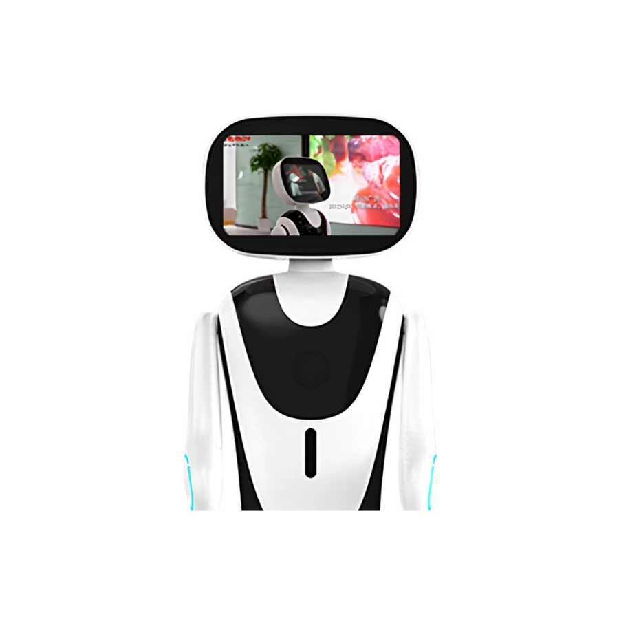 Mini AI Reception Robot