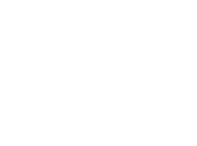FLYABILITY logo