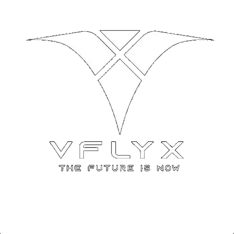 VFLYX logo