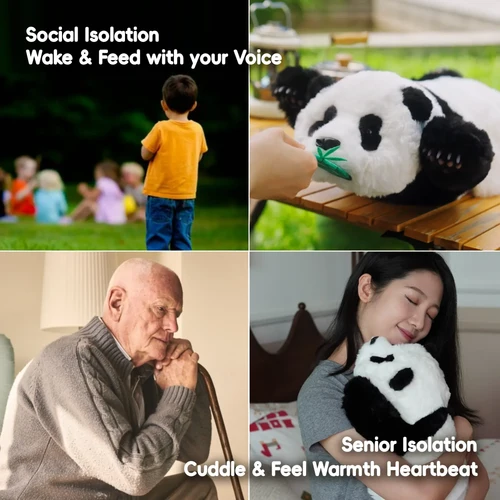 meda -panda