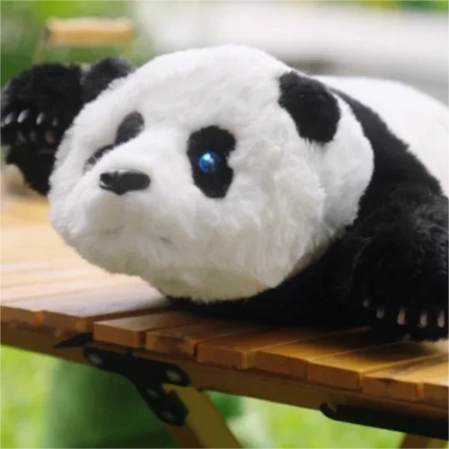 meta Panda