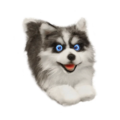 meta dog