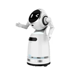 Cruzr Cloud-Based Intelligent Commercial Service Robot
