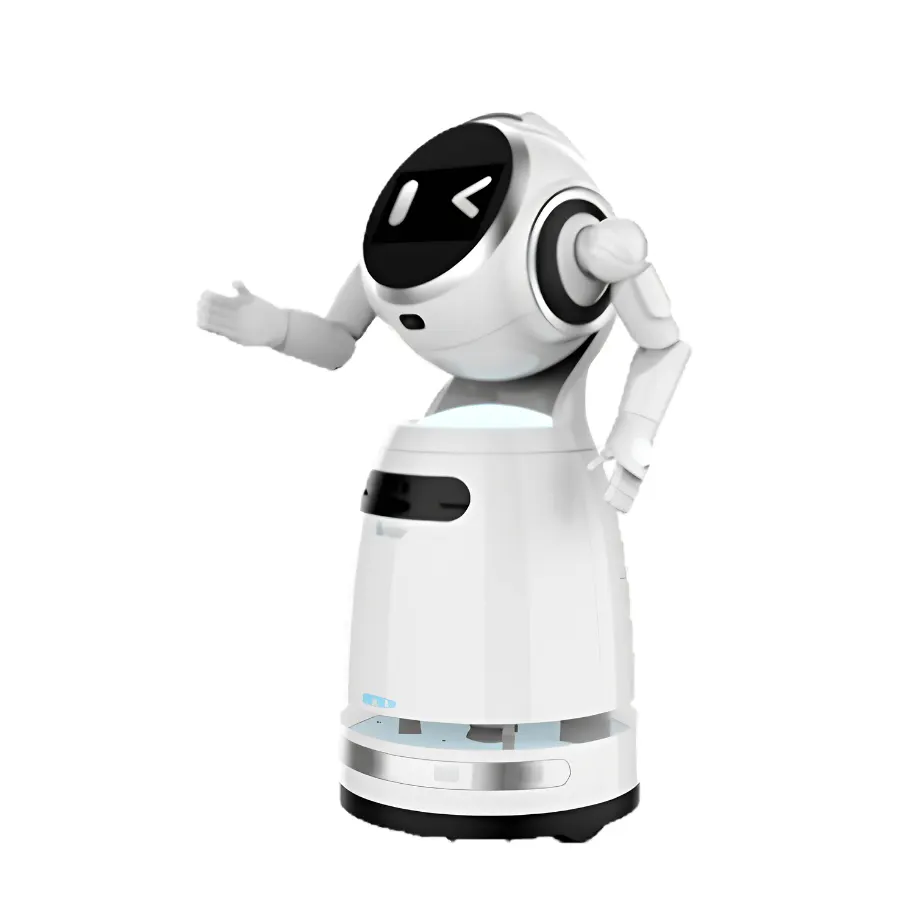 Cruzr_Robot_Service